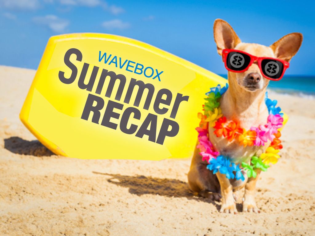 🍉 Summer Recap: 15 New Features You May Have Missed.