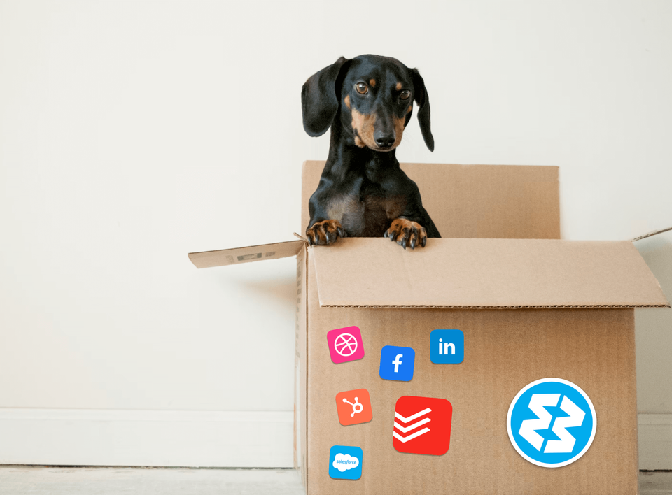 Moving Jobs? Here's how to take Wavebox with you.